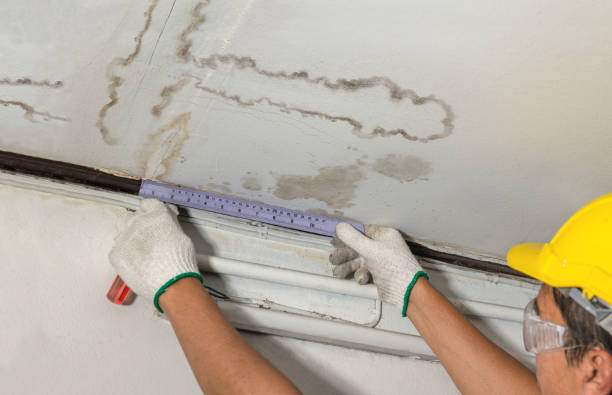 Reliable Basement Water Removal contractor in Sanger, CA by Water Damage Irwin